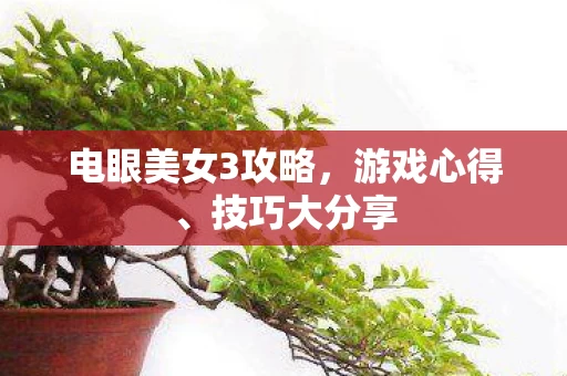 电眼美女3攻略图片