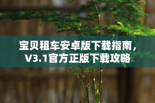 宝贝租车安卓版下载指南图片