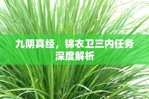 锦衣卫三内任务深度解析图片
