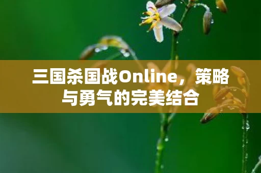 三国杀国战Online图片