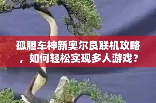 孤胆车神新奥尔良联机攻略图片