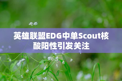 英雄联盟EDG中单Scout核酸阳性引发关注图片