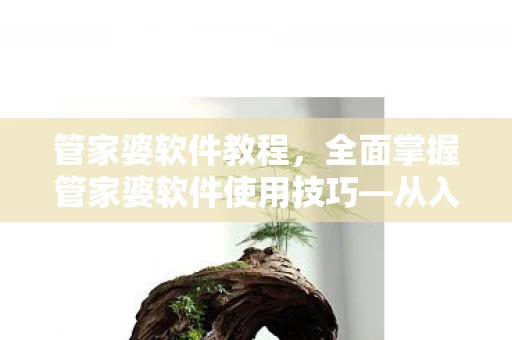 全面掌握管家婆软件使用技巧图片