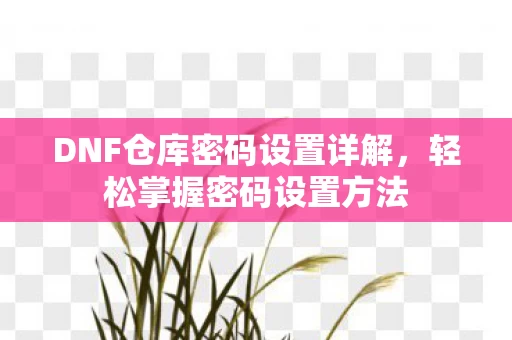 DNF仓库密码设置详解图片