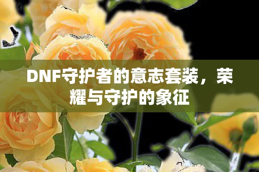 DNF守护者的意志套装图片
