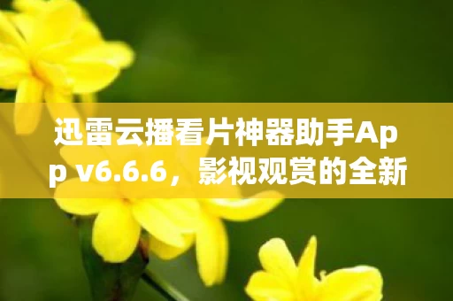 迅雷云播看片神器助手App v6图片