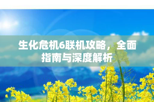 生化危机6联机攻略图片