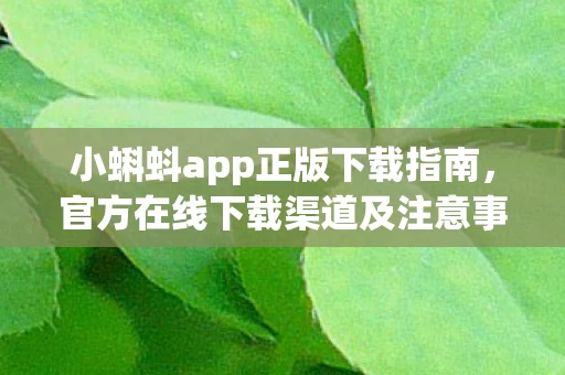 官方在线下载渠道及注意事项图片