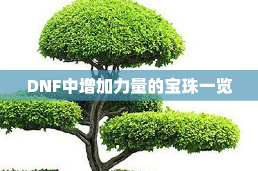 DNF中增加力量的宝珠一览图片