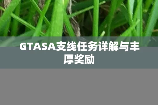 GTASA支线任务详解与丰厚奖励图片