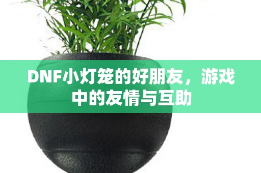 DNF小灯笼的好朋友图片