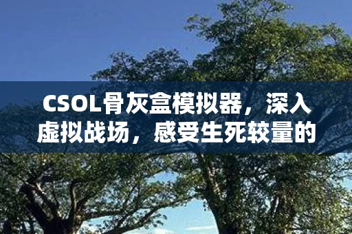 CSOL骨灰盒模拟器图片