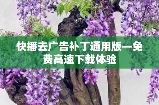 快播去广告补丁通用版图片