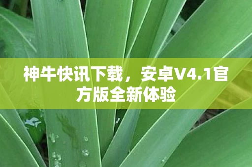 1官方版全新体验图片