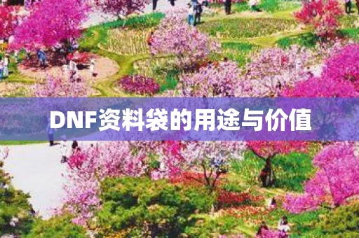 DNF资料袋的用途与价值图片