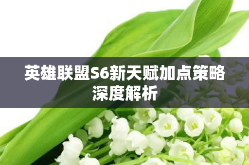 英雄联盟S6新天赋加点策略深度解析图片