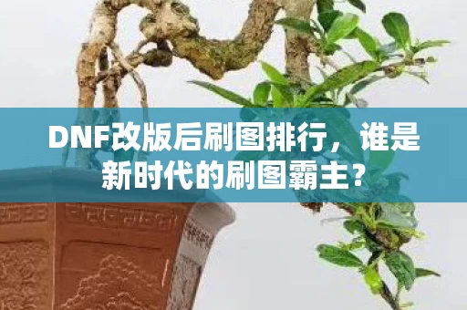 DNF改版后刷图排行图片