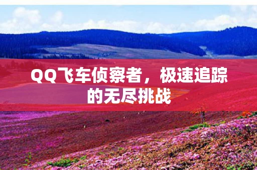 极速追踪的无尽挑战图片