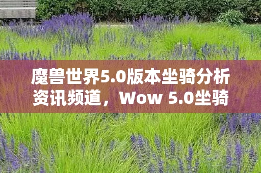 0版本坐骑分析资讯频道图片