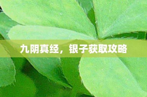 银子获取攻略图片