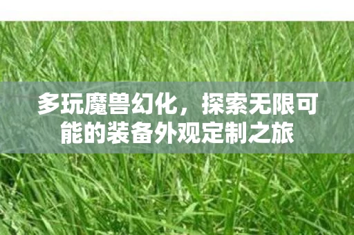 探索无限可能的装备外观定制之旅图片