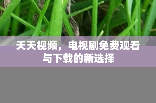 电视剧免费观看与下载的新选择图片