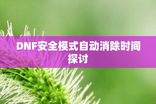 DNF安全模式自动消除时间探讨图片