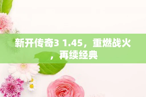 新开传奇3 1图片