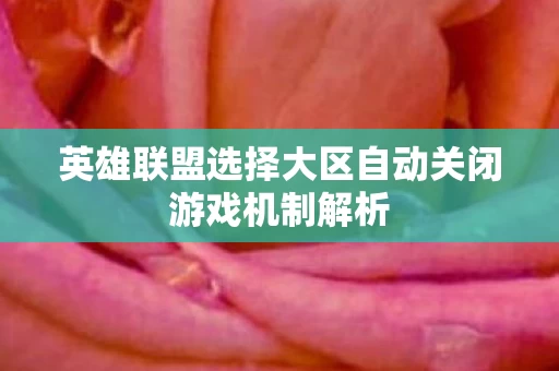 英雄联盟选择大区自动关闭游戏机制解析图片