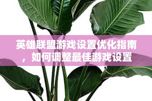 英雄联盟游戏设置优化指南图片