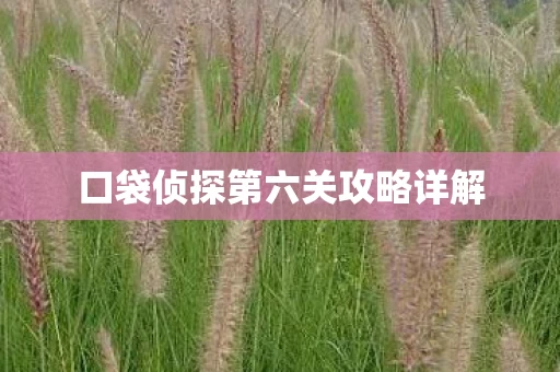 口袋侦探第六关攻略详解图片