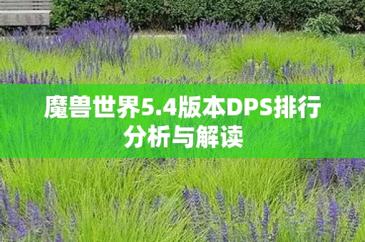 4版本DPS排行分析与解读图片
