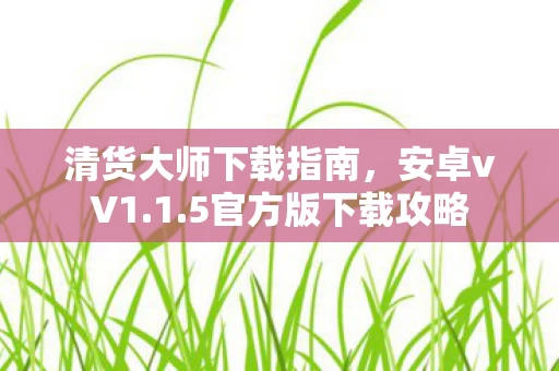 清货大师下载指南图片