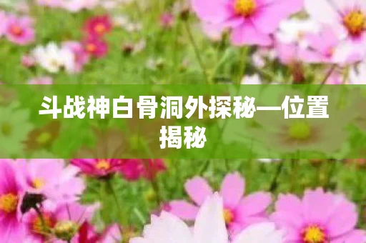 斗战神白骨洞外探秘图片