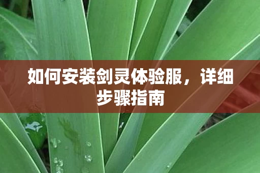 如何安装剑灵体验服图片