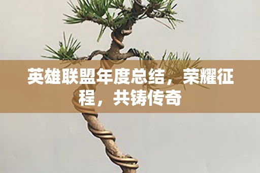 英雄联盟年度总结图片