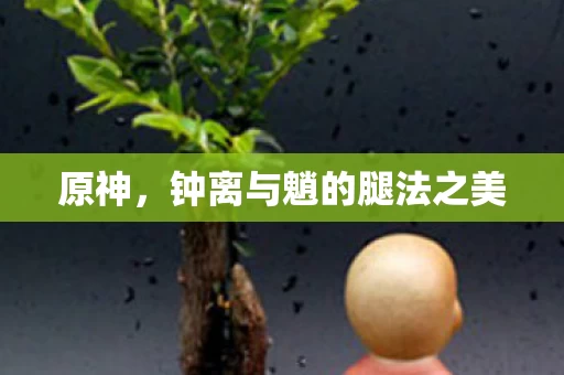 钟离与魈的腿法之美图片