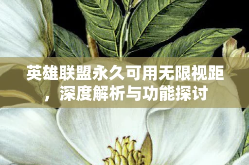 英雄联盟永久可用无限视距图片