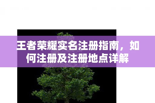 如何注册及注册地点详解图片