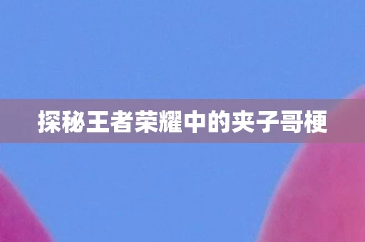 探秘王者荣耀中的夹子哥梗图片