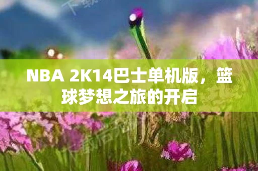NBA 2K14巴士单机版图片
