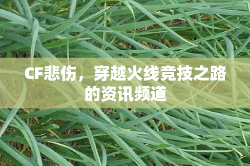 穿越火线竞技之路的资讯频道图片