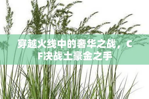 穿越火线中的奢华之战图片