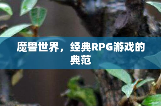 经典RPG游戏的典范图片