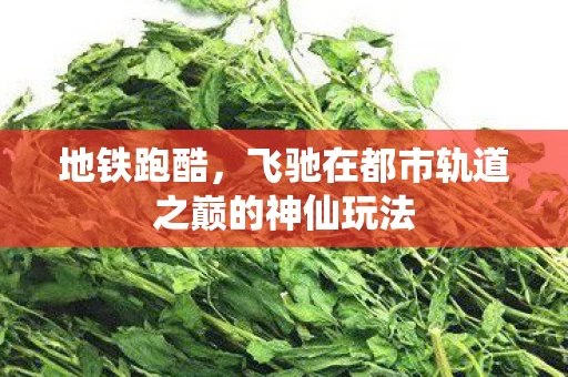 飞驰在都市轨道之巅的神仙玩法图片
