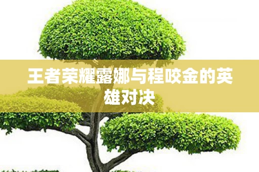 王者荣耀露娜与程咬金的英雄对决图片