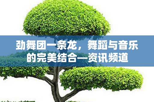舞蹈与音乐的完美结合图片