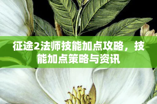 征途2法师技能加点攻略图片