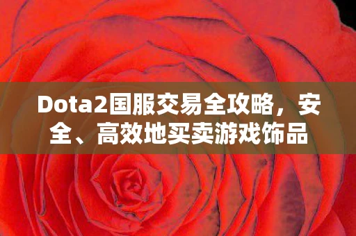 Dota2国服交易全攻略图片