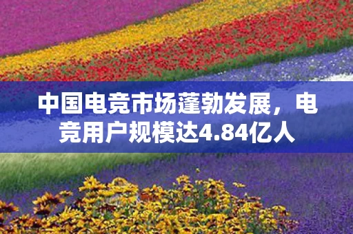 中国电竞市场蓬勃发展图片